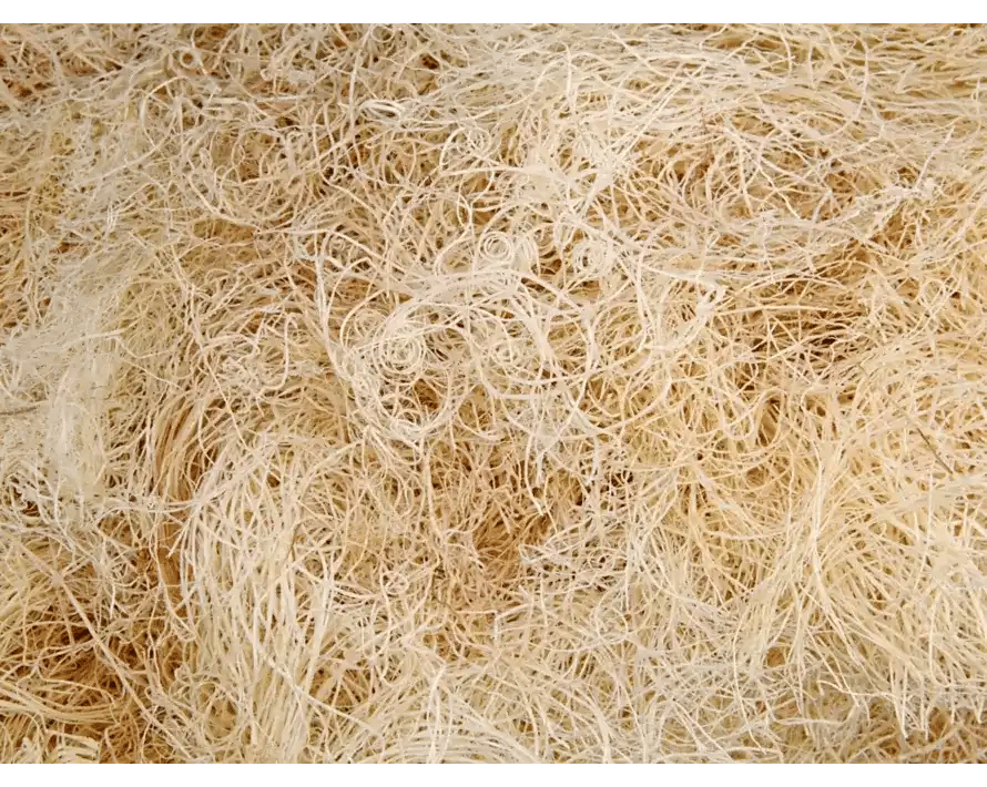 JWL BLOG 4 16 4 Aspen